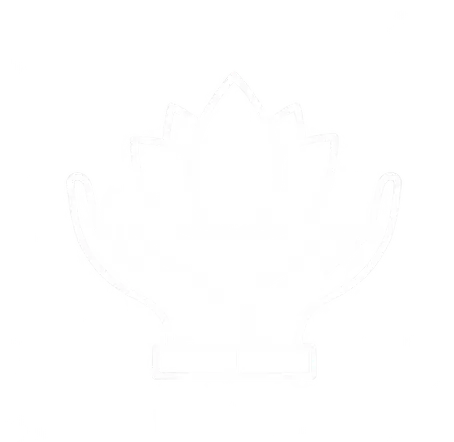Spa and Wellness